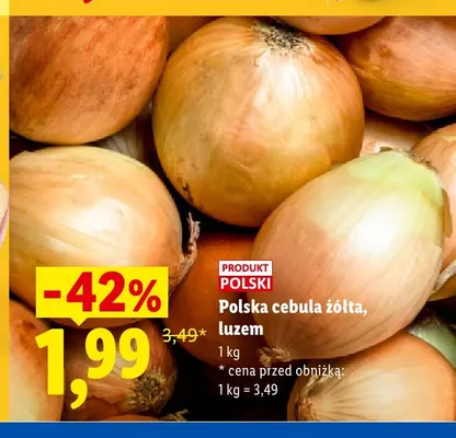 Cebula żółta polska luzem promocja w Lidl