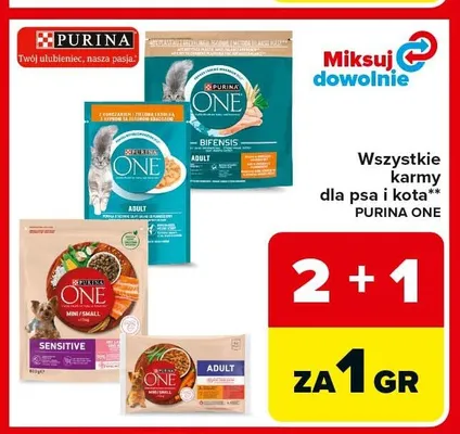 Karmy dla psa i kota Purina One promocja w Carrefour Market