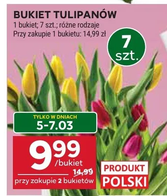 Bukiet tulipanów promocja w Stokrotka