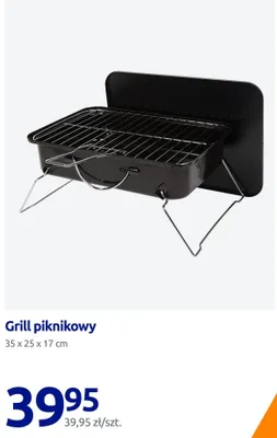 Grill piknikowy 35x25x17 cm promocja w Action