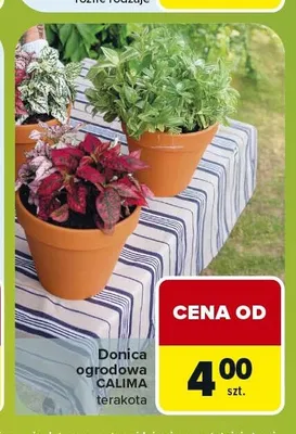 Donica ogrodowa Calima terakota promocja w Carrefour