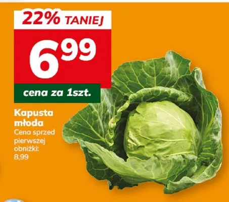 Kapusta promocja w Hitpol