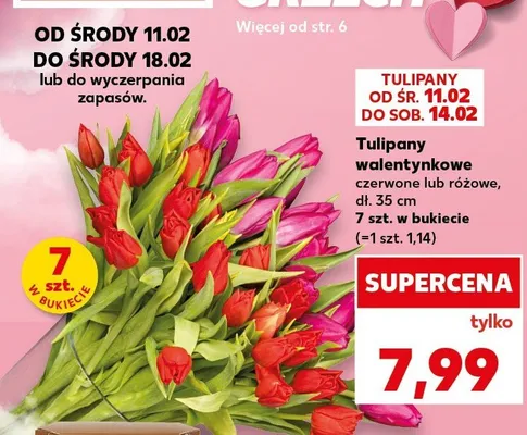 Tulipany walentynkowe czerwone lub różowe dł. 35 cm 7 szt. w bukiecie promocja w Kaufland