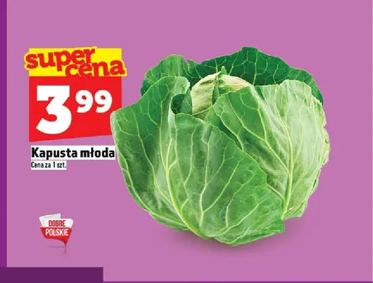 Kapusta młoda promocja w TOPAZ