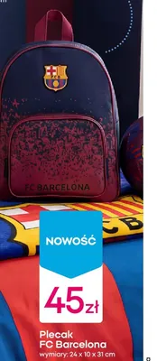 Plecak wymiary: 24x10x31 cm promocja w Pepco