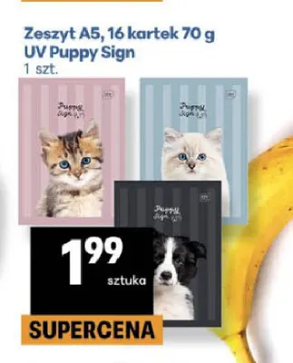 Zeszyt A5 16 kartek 70 g UV Puppy Sign promocja w Delikatesy Centrum