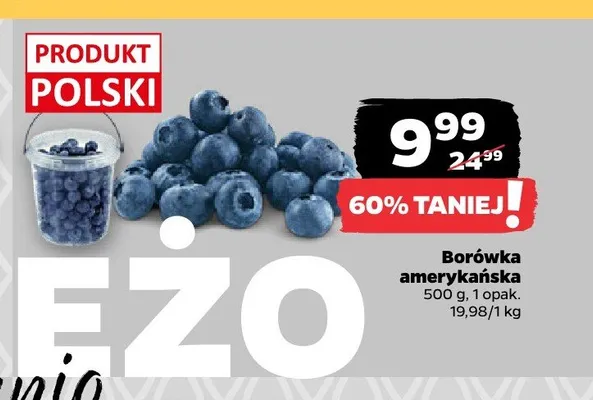 Borówka amerykańska promocja w Netto