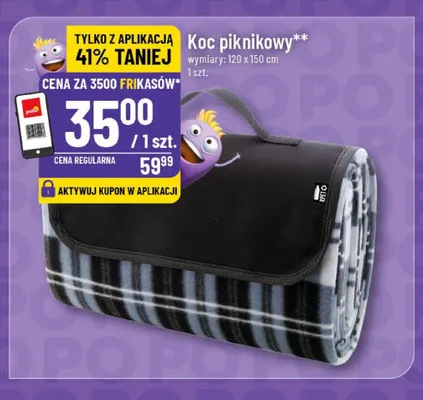 Koc piknikowy 120x150cm promocja w POLOmarket