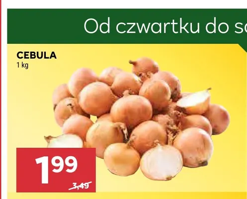 Cebula promocja w Stokrotka