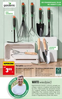 Grabki do liści promocja w Biedronka