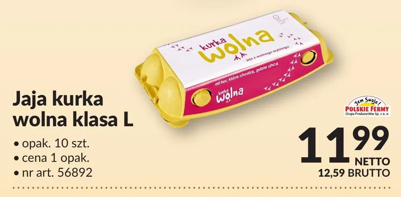Jaja kurka wolna klasa L promocja w Makro