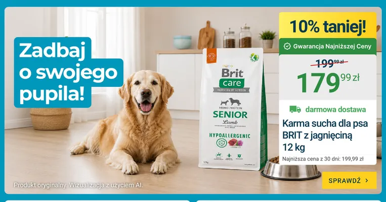 Karma sucha dla psa Brit z jagnięciną 12 kg promocja w ERLI