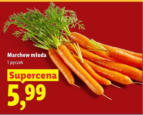 Marchew młoda Lidl promocja w Lidl
