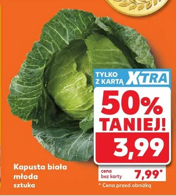 Kapusta biała młoda promocja w Kaufland