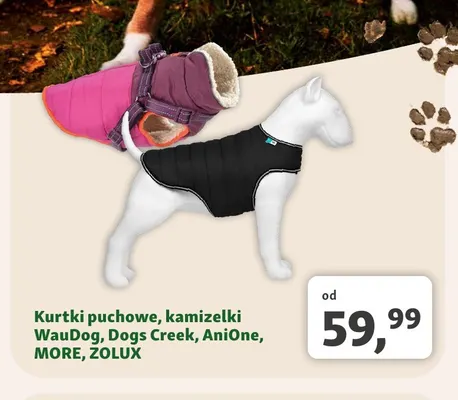 Kurtki puchowe, kamizelki MORE promocja w MAXI ZOO