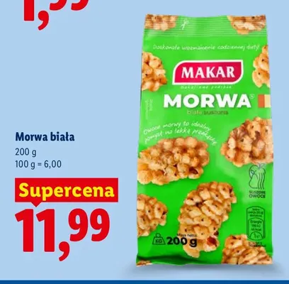 Morwa biała Makar promocja w Lidl