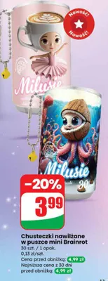 Chusteczki nawilżane w puszce mini Brainrot promocja w Dino