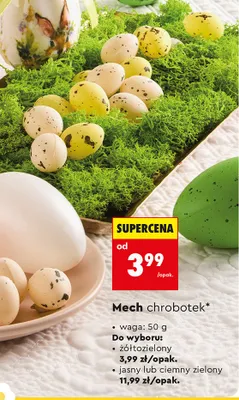 Mech chrobotek jasny lub ciemny zielony promocja w Biedronka
