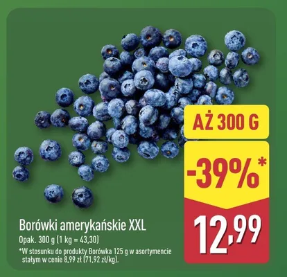 Borówki amerykańskie XXL promocja w Aldi