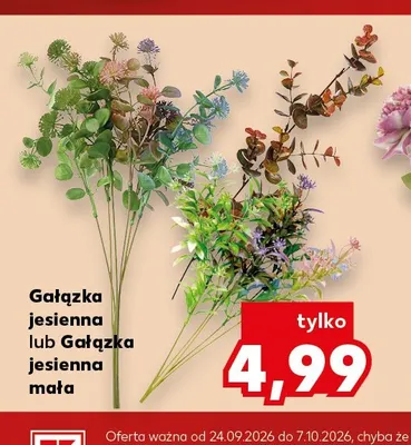 Gałązka jesienna promocja w Kaufland
