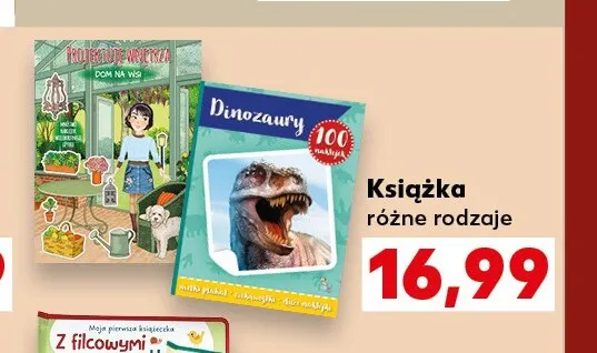Książka promocja w Kaufland