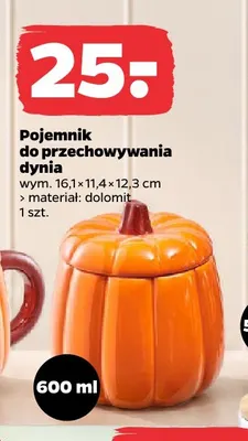 Pojemnik do przechowywania dynia promocja w Netto