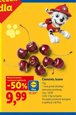 Czereśnie luzem Ryneczek Lidla promocja w Lidl
