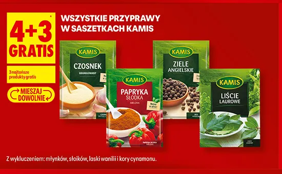 Przyprawy w saszetkach Kamis promocja w Biedronka