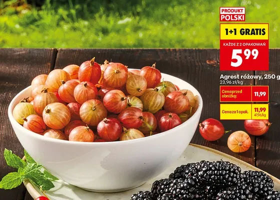 Agrest różowy polski promocja w Biedronka