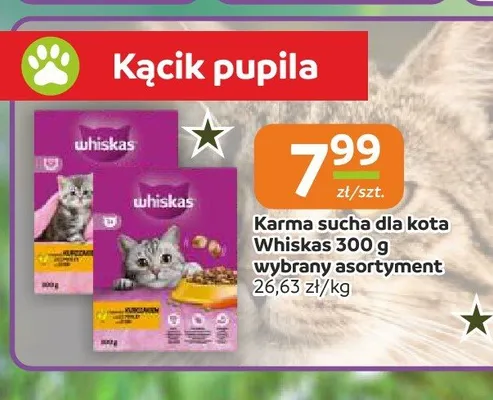 Karma sucha dla kota Whiskas promocja w Społem Częstochowa