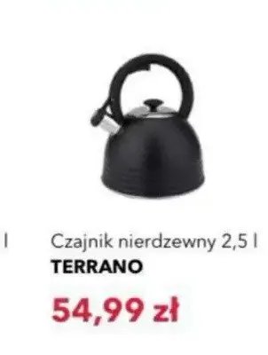 Czajnik nierdzewny Terrano 2,5 l promocja w Nela