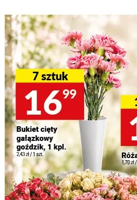 Bukiet cięty gałązkowy goździk promocja w Twój Market