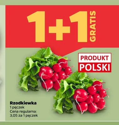 Rzodkiewka promocja w Netto