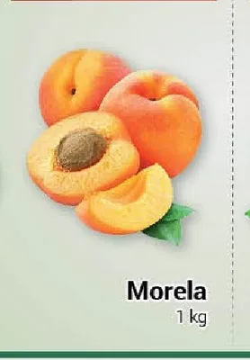 Morela promocja w Premium Nasz Sklep
