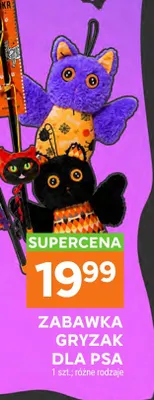 Zabawka gryzak dla psa promocja w Stokrotka