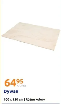 Dywan 100x150 cm promocja w Action