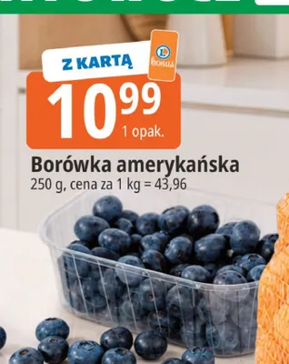 Borówka amerykańska promocja w Leclerc