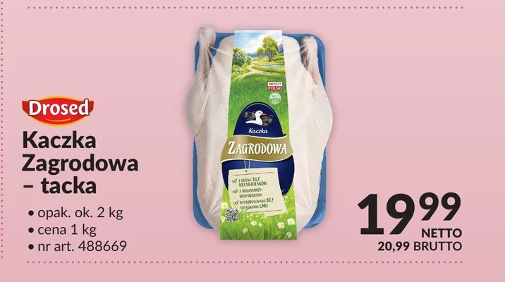 Kaczka Zagrodowa - tacka promocja w Makro
