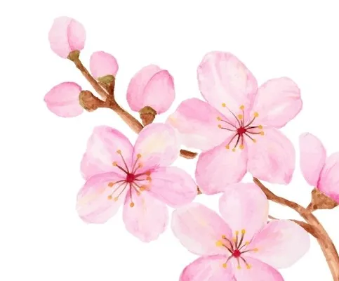 Wiosenna moda damska w supercenach!, strona 5 promocja w KiK