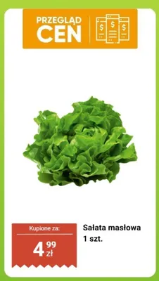 Sałata masłowa promocja w Biedronka