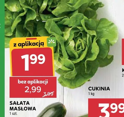 Sałata masłowa promocja w Stokrotka