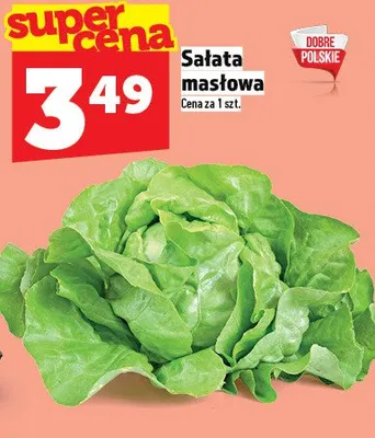 Sałata masłowa promocja w TOPAZ