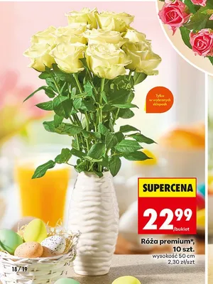 Róża premium 10 szt. promocja w Biedronka