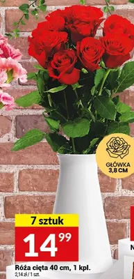 Róża cięta 40 cm 7 sztuk promocja w Twój Market