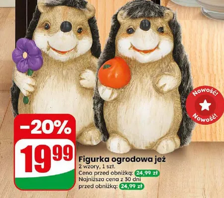 Figurka ogrodowa jeż promocja w Dino