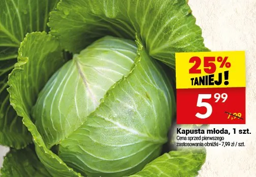 Kapusta młoda promocja w Twój Market