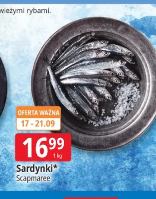 Sardynki Scapmaree promocja w Leclerc