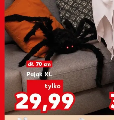 Pająk Xl promocja w Kaufland
