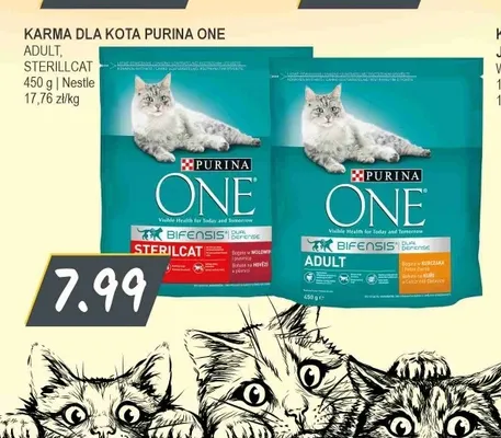 Karma dla kota Purina ONE Adult promocja w Słoneczko