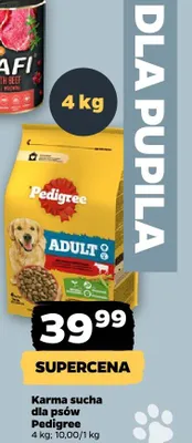 Karma sucha dla psów promocja w Netto